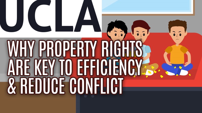 Why Property Rights Are Key to Efficiency and Reduce Conflict